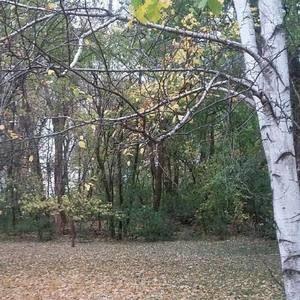 Meet your Posher, Tegan